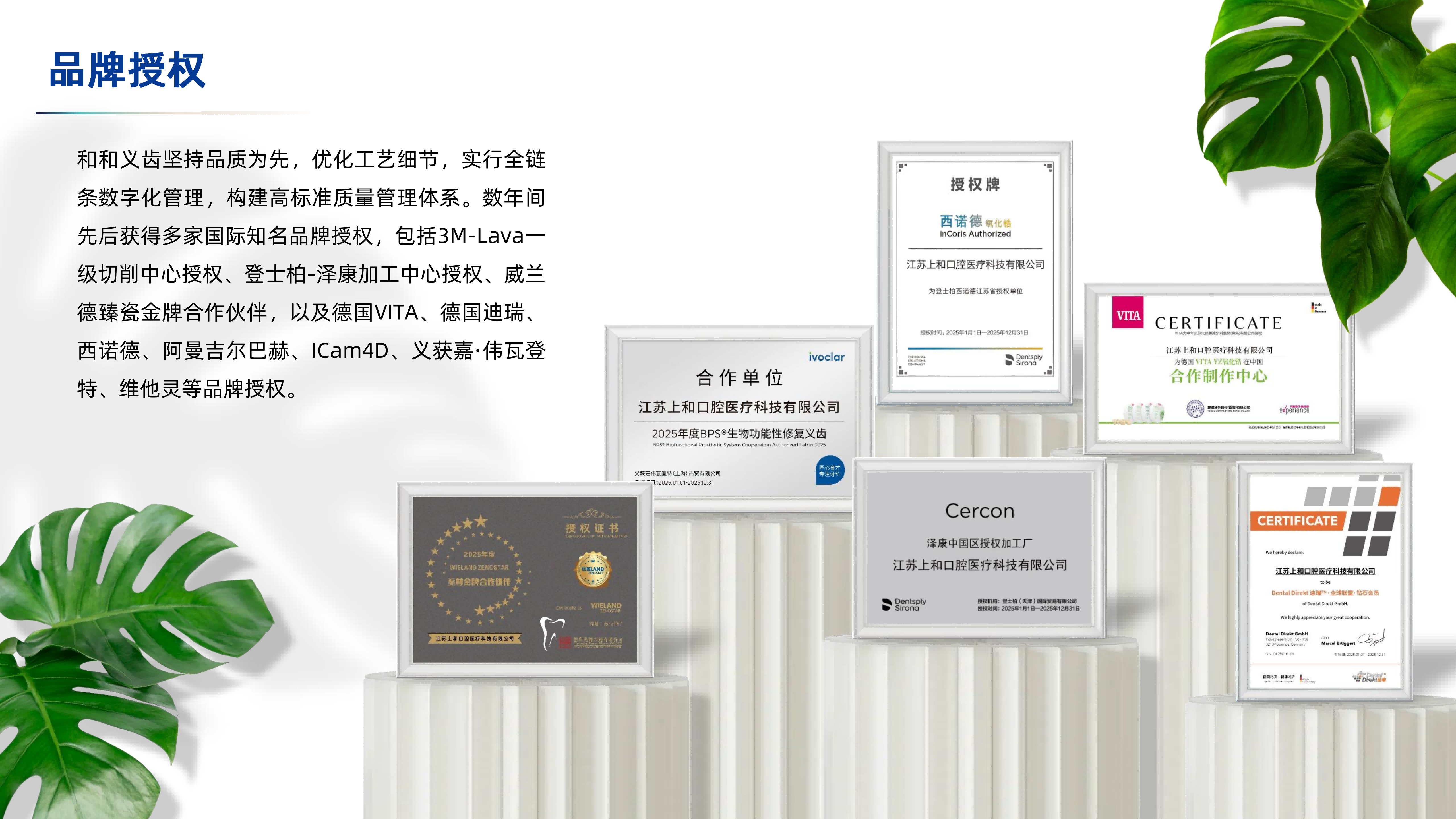 1783559585194663.png 和和义齿企业概览【2026】(1)_08.png